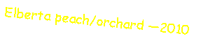 Text Box: Elberta peach/orchard 2010